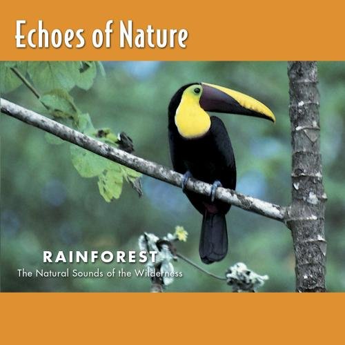Echoes of Nature Rainforest
